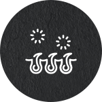 毛は伸ばした状態でご来店